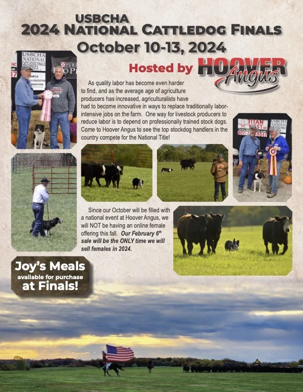 Stockdog Finals